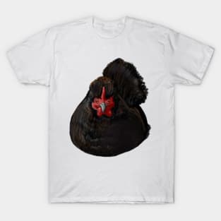 Sweet little hen T-Shirt